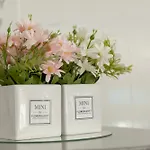 Charme Royal - Louis Xv - Metro 13 *